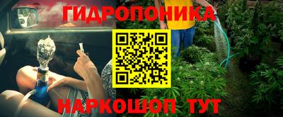 гидра Свободный
