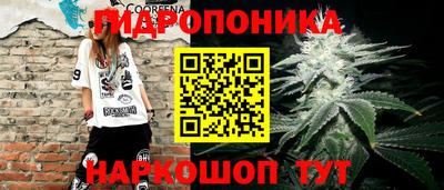 гидра Свободный