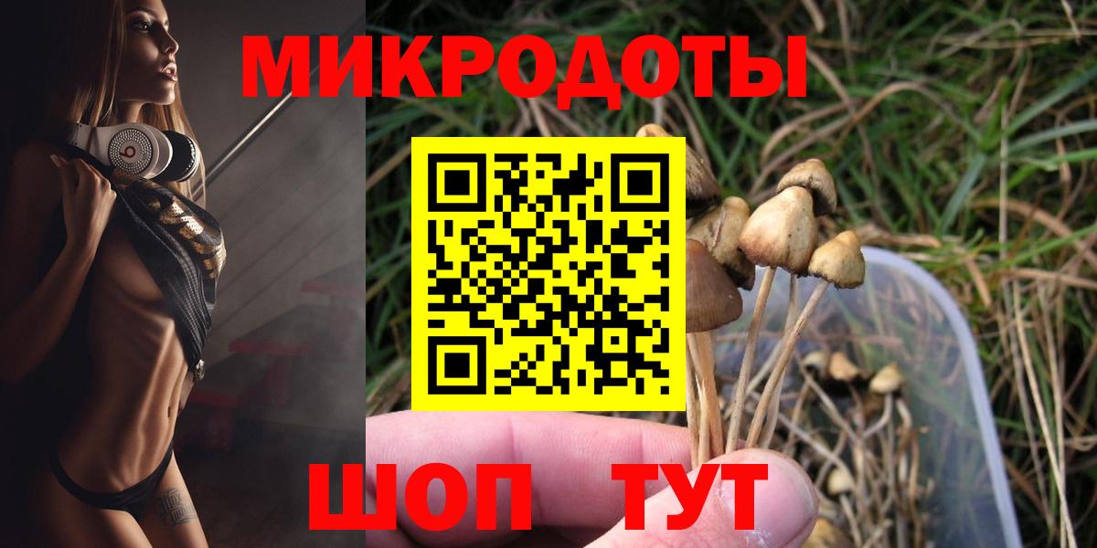 Псилоцибиновые грибы прущие грибы Новозыбков