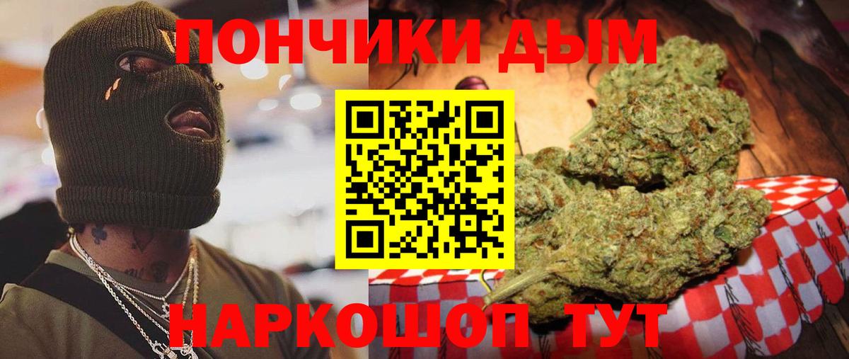 Шишки марихуана план Новозыбков